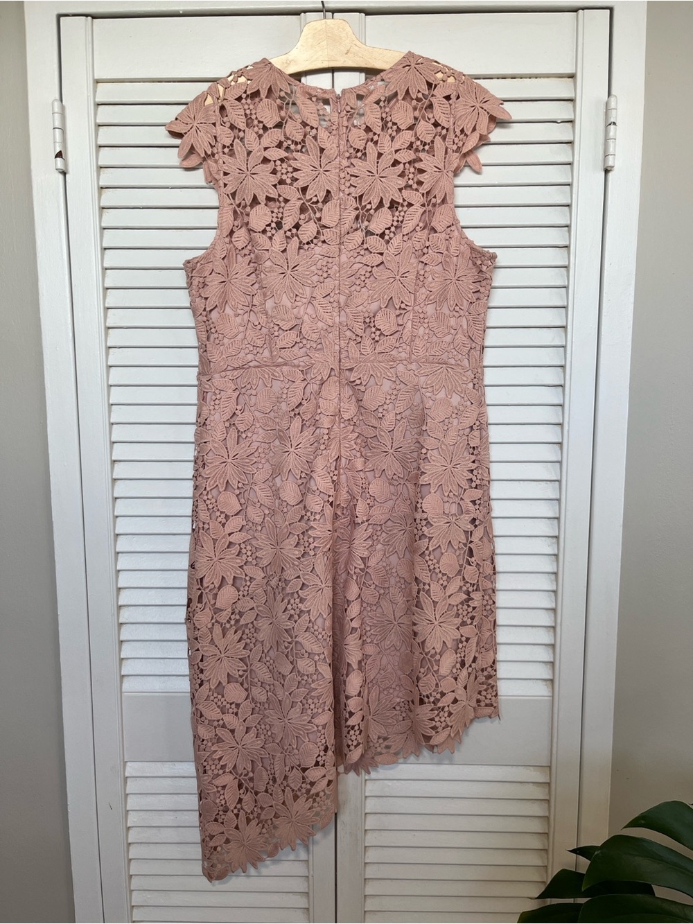 RW&CO. Dusty Rose Floral Lace Asymmetrical Dress - Picture 4 of 4